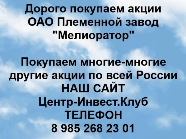 Покупаем акции ОАО Племенной завод Мелиоратор и любые другие акции по всей России